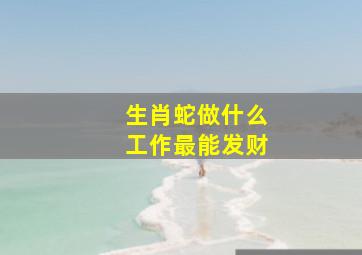 生肖蛇做什么工作最能发财