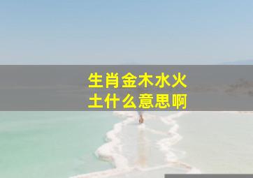 生肖金木水火土什么意思啊