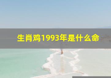 生肖鸡1993年是什么命