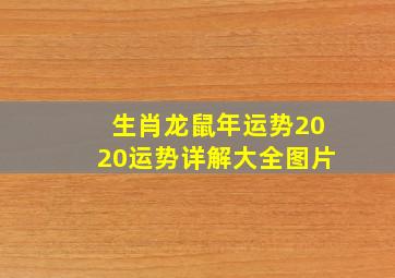 生肖龙鼠年运势2020运势详解大全图片