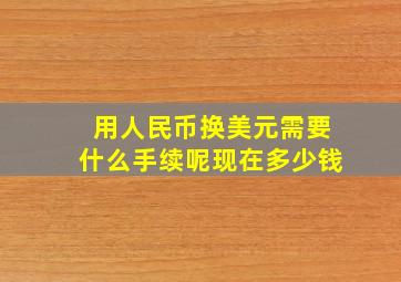 用人民币换美元需要什么手续呢现在多少钱