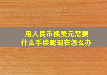 用人民币换美元需要什么手续呢现在怎么办