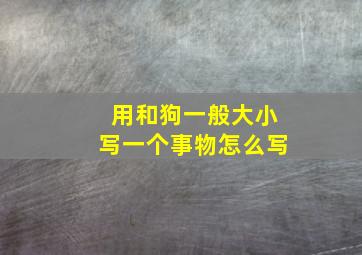 用和狗一般大小写一个事物怎么写