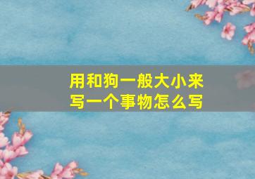 用和狗一般大小来写一个事物怎么写