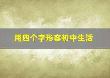 用四个字形容初中生活