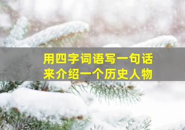 用四字词语写一句话来介绍一个历史人物