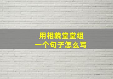 用相貌堂堂组一个句子怎么写