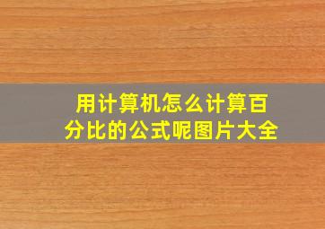 用计算机怎么计算百分比的公式呢图片大全