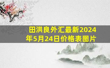 田洪良外汇最新2024年5月24日价格表图片