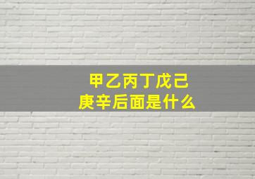 甲乙丙丁戊己庚辛后面是什么