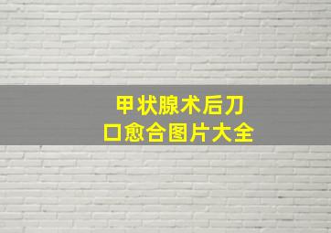 甲状腺术后刀口愈合图片大全