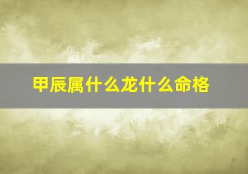 甲辰属什么龙什么命格