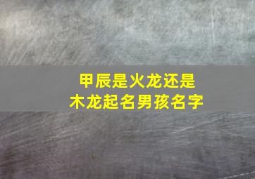 甲辰是火龙还是木龙起名男孩名字