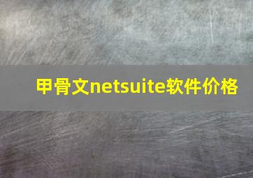 甲骨文netsuite软件价格