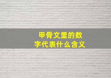 甲骨文里的数字代表什么含义