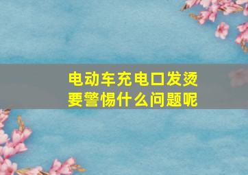 电动车充电口发烫要警惕什么问题呢