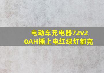 电动车充电器72v20AH插上电红绿灯都亮