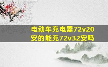 电动车充电器72v20安的能充72v32安吗