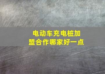 电动车充电桩加盟合作哪家好一点