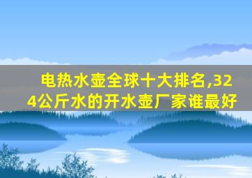 电热水壶全球十大排名,324公斤水的开水壶厂家谁最好