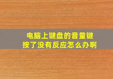 电脑上键盘的音量键按了没有反应怎么办啊