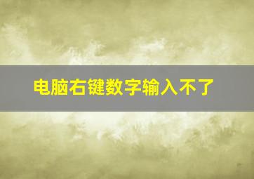 电脑右键数字输入不了