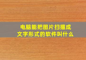 电脑能把图片扫描成文字形式的软件叫什么