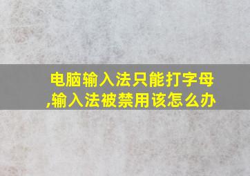 电脑输入法只能打字母,输入法被禁用该怎么办