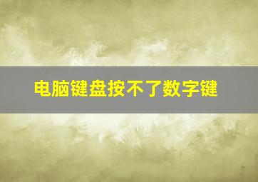 电脑键盘按不了数字键