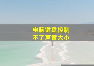 电脑键盘控制不了声音大小