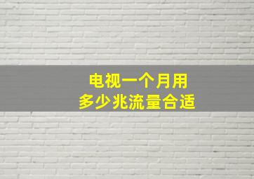 电视一个月用多少兆流量合适