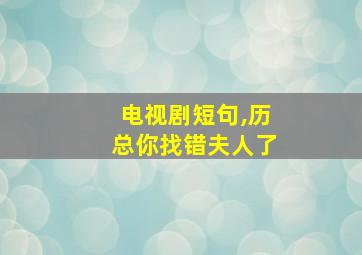 电视剧短句,历总你找错夫人了