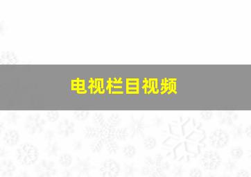 电视栏目视频