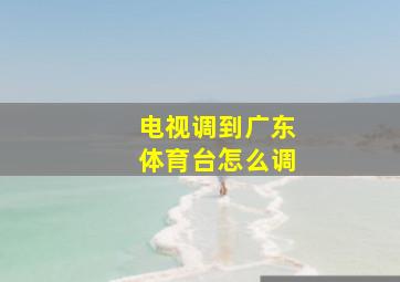 电视调到广东体育台怎么调