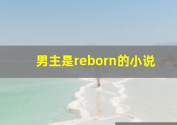 男主是reborn的小说