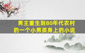 男主重生到80年代农村的一个小男孩身上的小说