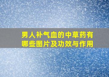 男人补气血的中草药有哪些图片及功效与作用