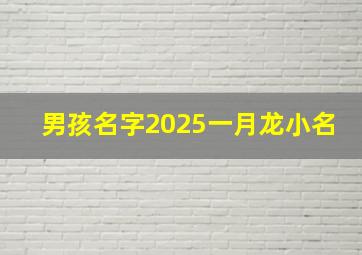 男孩名字2025一月龙小名