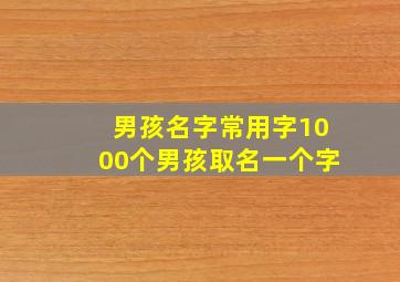 男孩名字常用字1000个男孩取名一个字