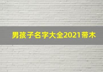 男孩子名字大全2021带木