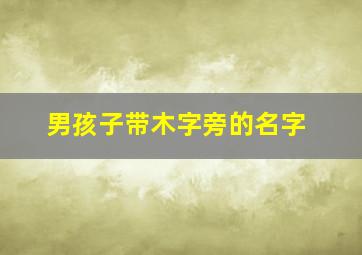 男孩子带木字旁的名字