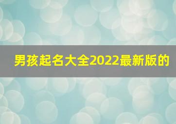 男孩起名大全2022最新版的