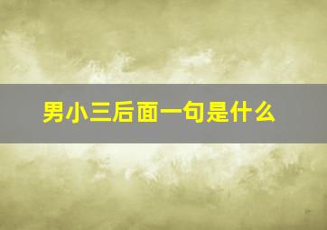 男小三后面一句是什么