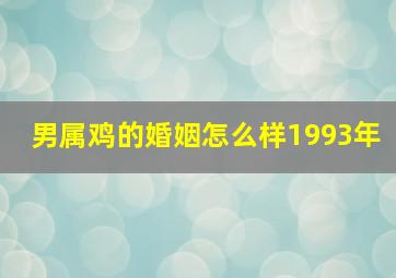 男属鸡的婚姻怎么样1993年