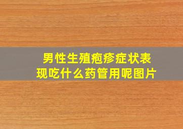 男性生殖疱疹症状表现吃什么药管用呢图片