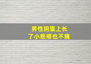 男性阴囊上长了小疙瘩也不痛