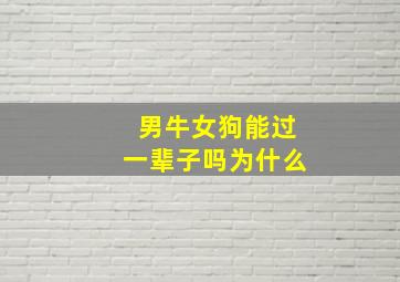 男牛女狗能过一辈子吗为什么