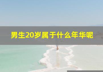 男生20岁属于什么年华呢