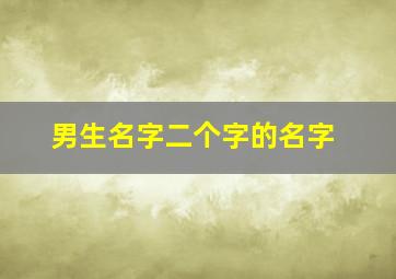 男生名字二个字的名字