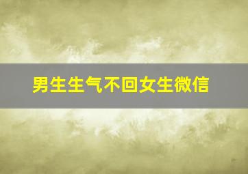 男生生气不回女生微信